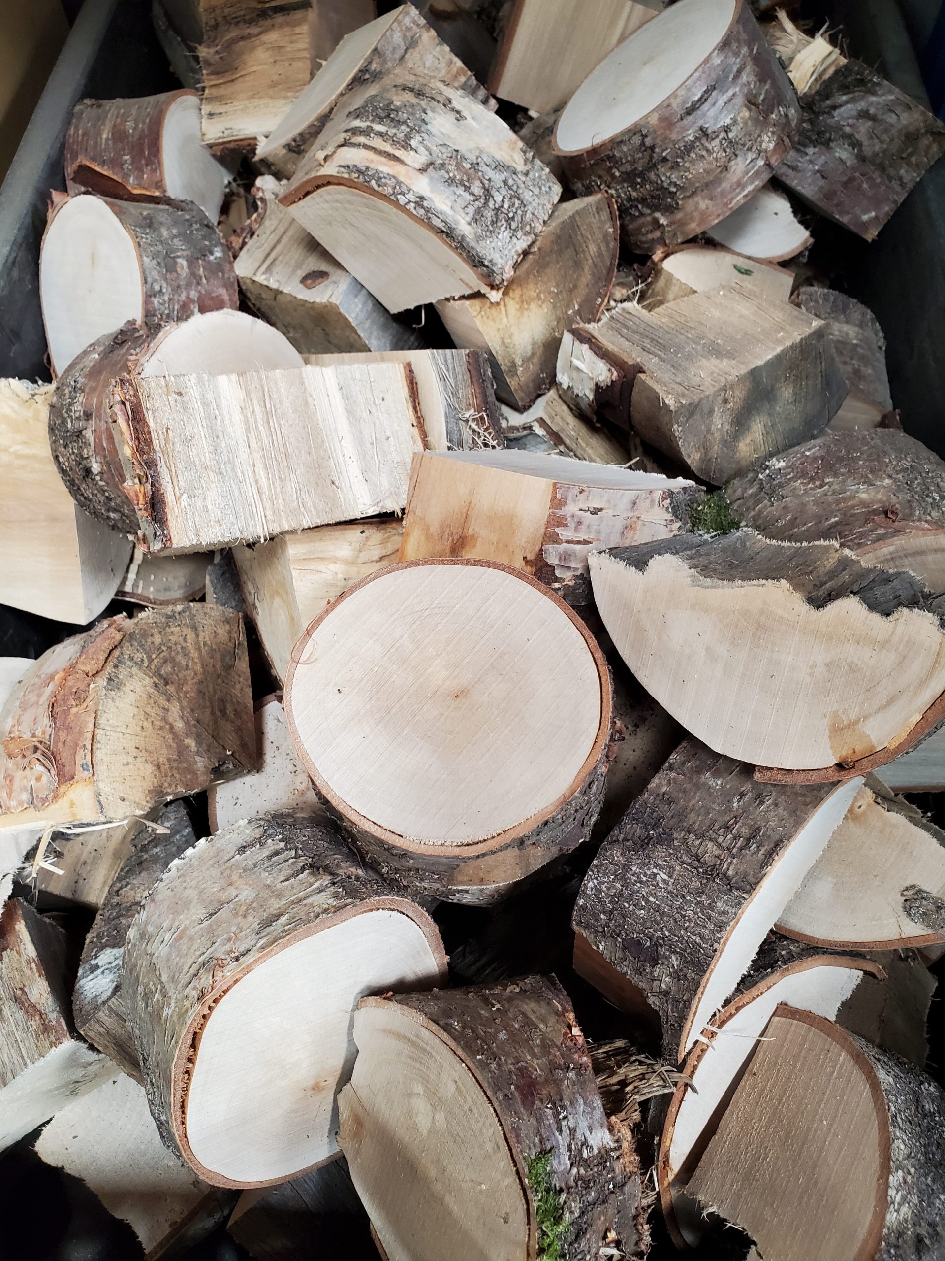 Birch Wood Chunks